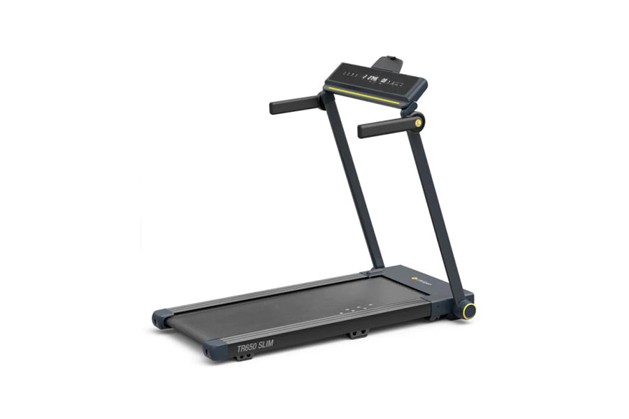 LifeSpan Fitness, LifeSpan TR1000-Classic Treadmill Desk